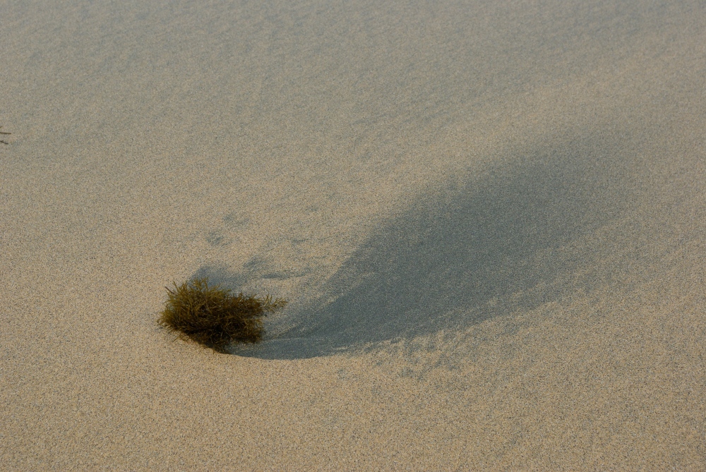 Sand fan